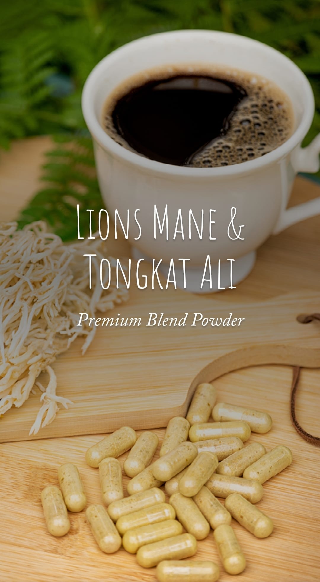 Tongkat & Lions mane 60 capsules 400mg